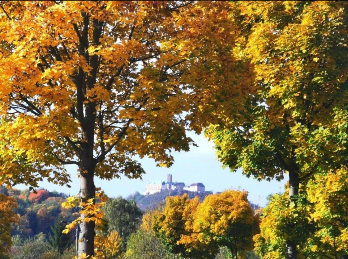 Schoene Ferienwohnung „Zum Glueck Tropical“ Eisenach Dış mekan fotoğraf